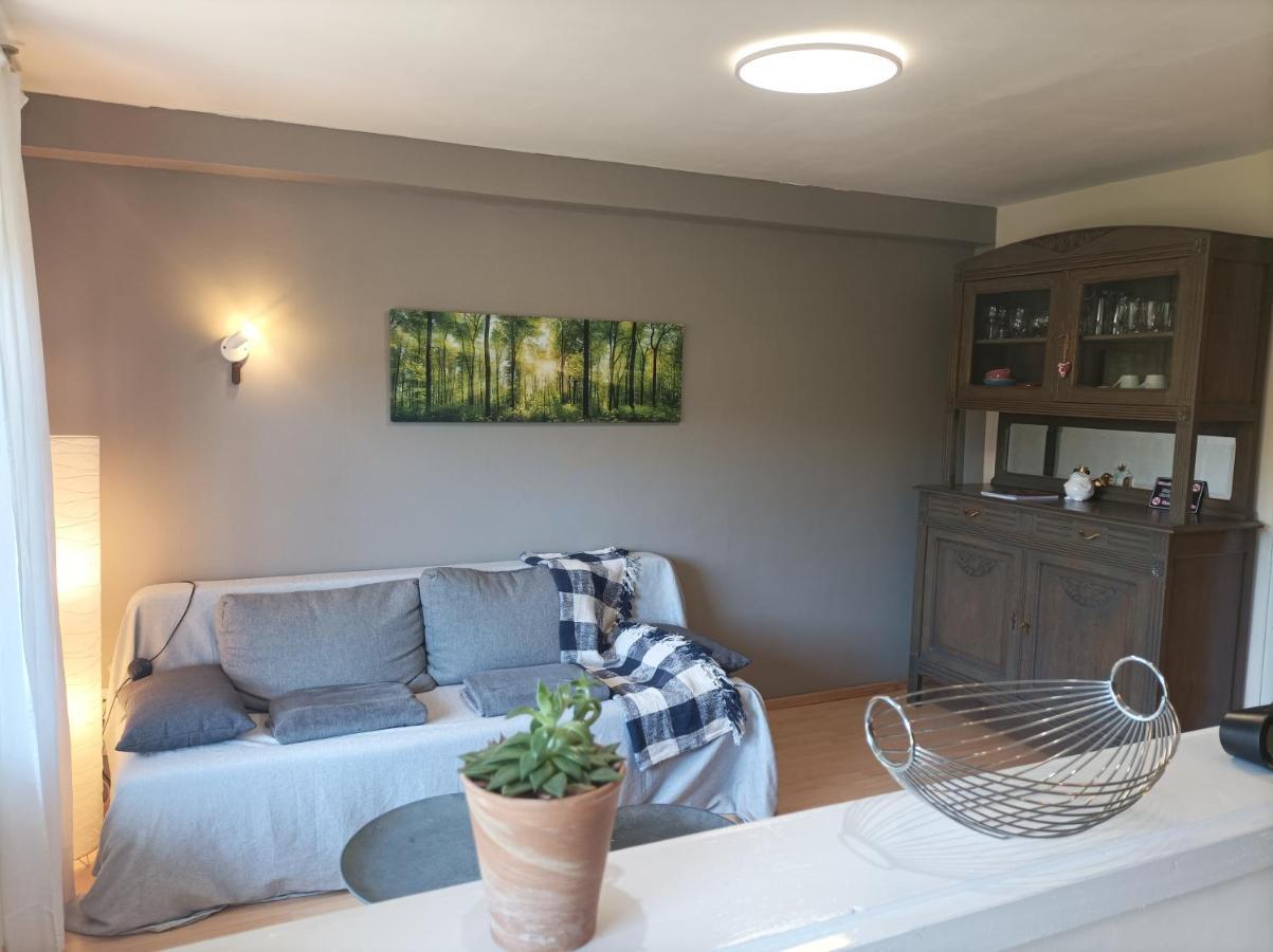 Am Sommerberg Unterkirnach Exteriér fotografie