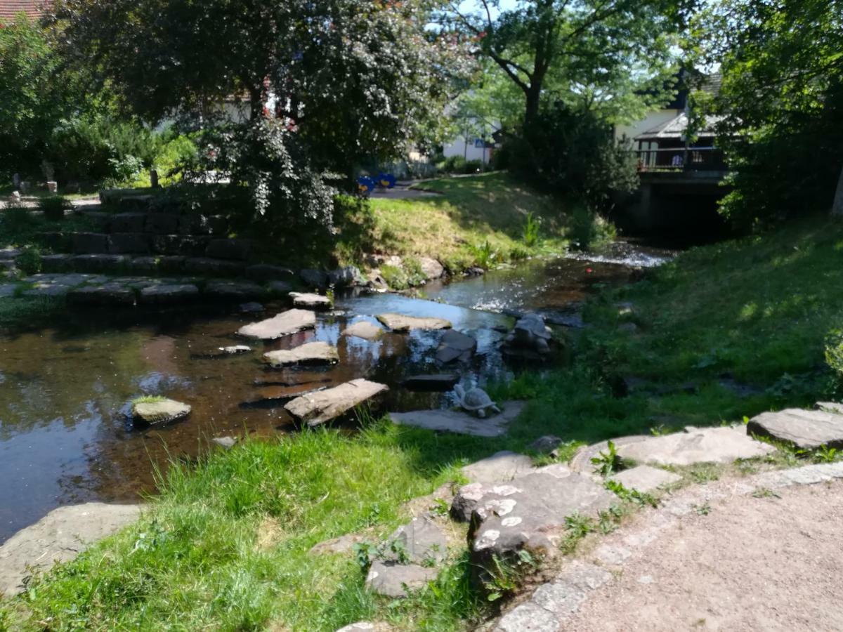Am Sommerberg Unterkirnach Exteriér fotografie